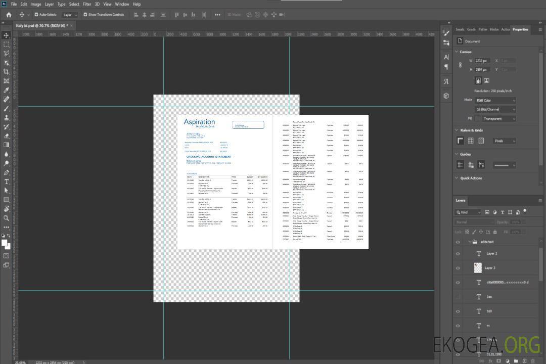 Relevé de la banque Egypt Aspiration template Relevé de la banque Egypt Aspiration template